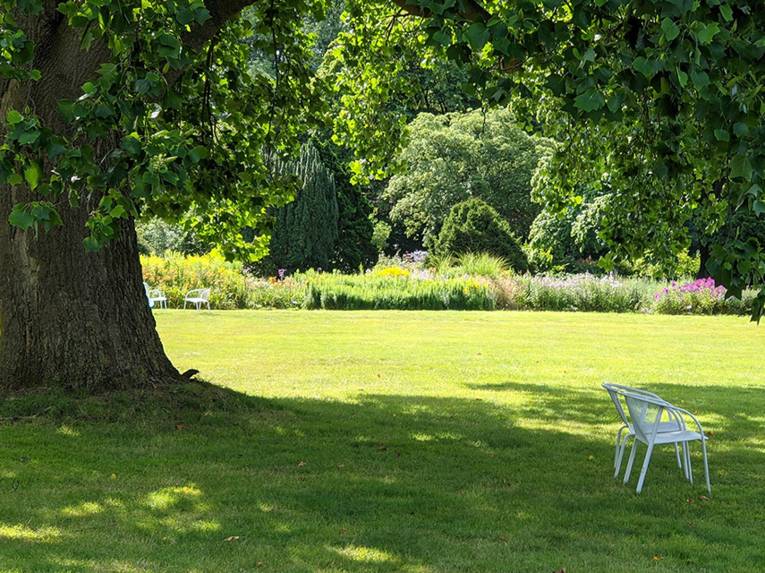 Wiese in einem Park.